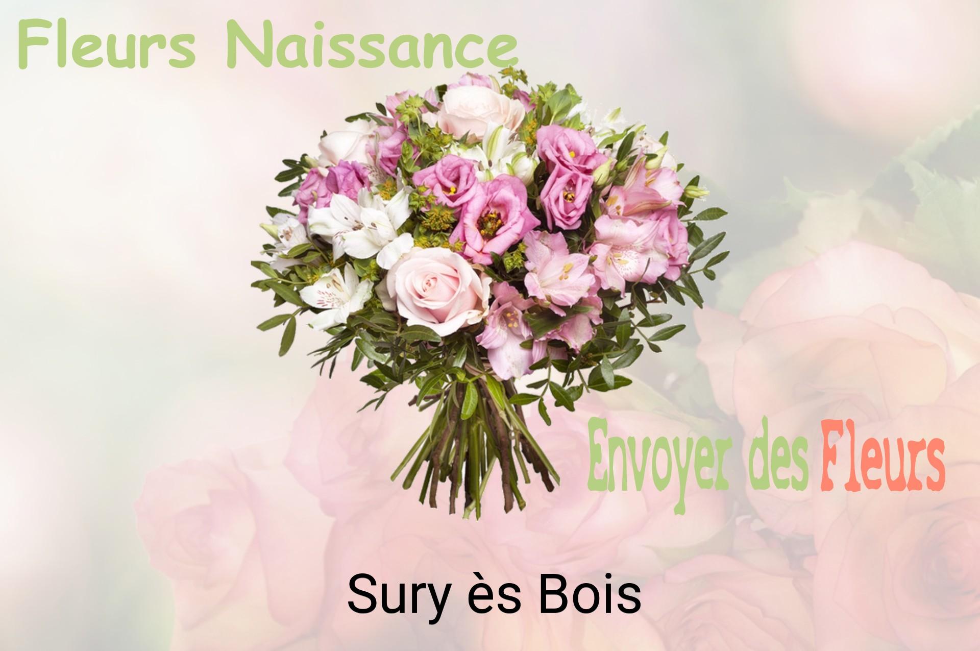 Bouquet de fleurs de naissance livré à Sury-ès-Bois